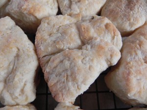 Southern Style Biscuits